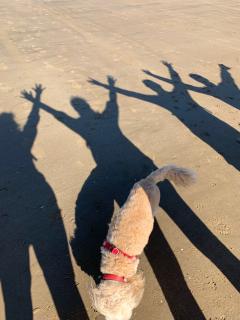 Snack stop - for star bursts!